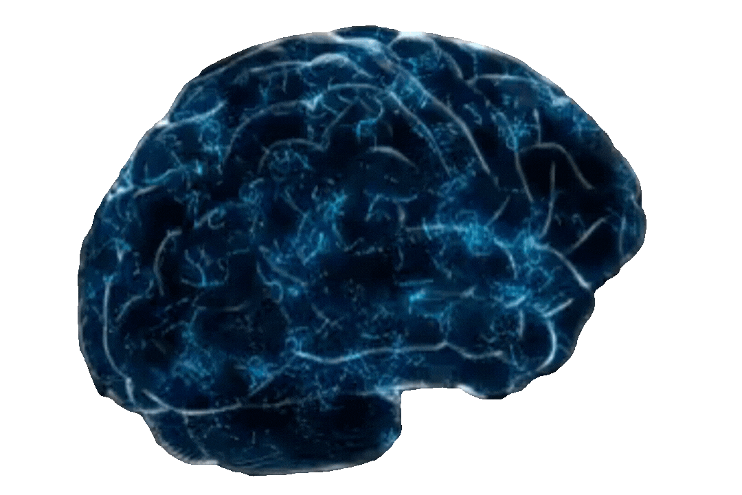 Sense neural animation